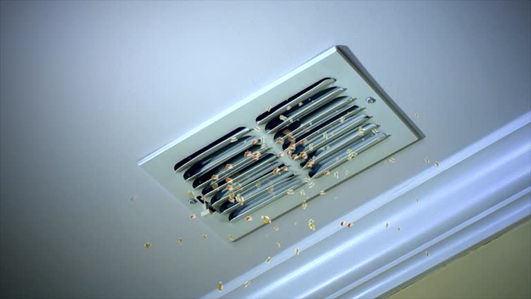 Best Air Duct Mold Removal  in Morris, AL