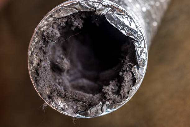 Best Affordable HVAC Duct Cleaning  in Morris, AL